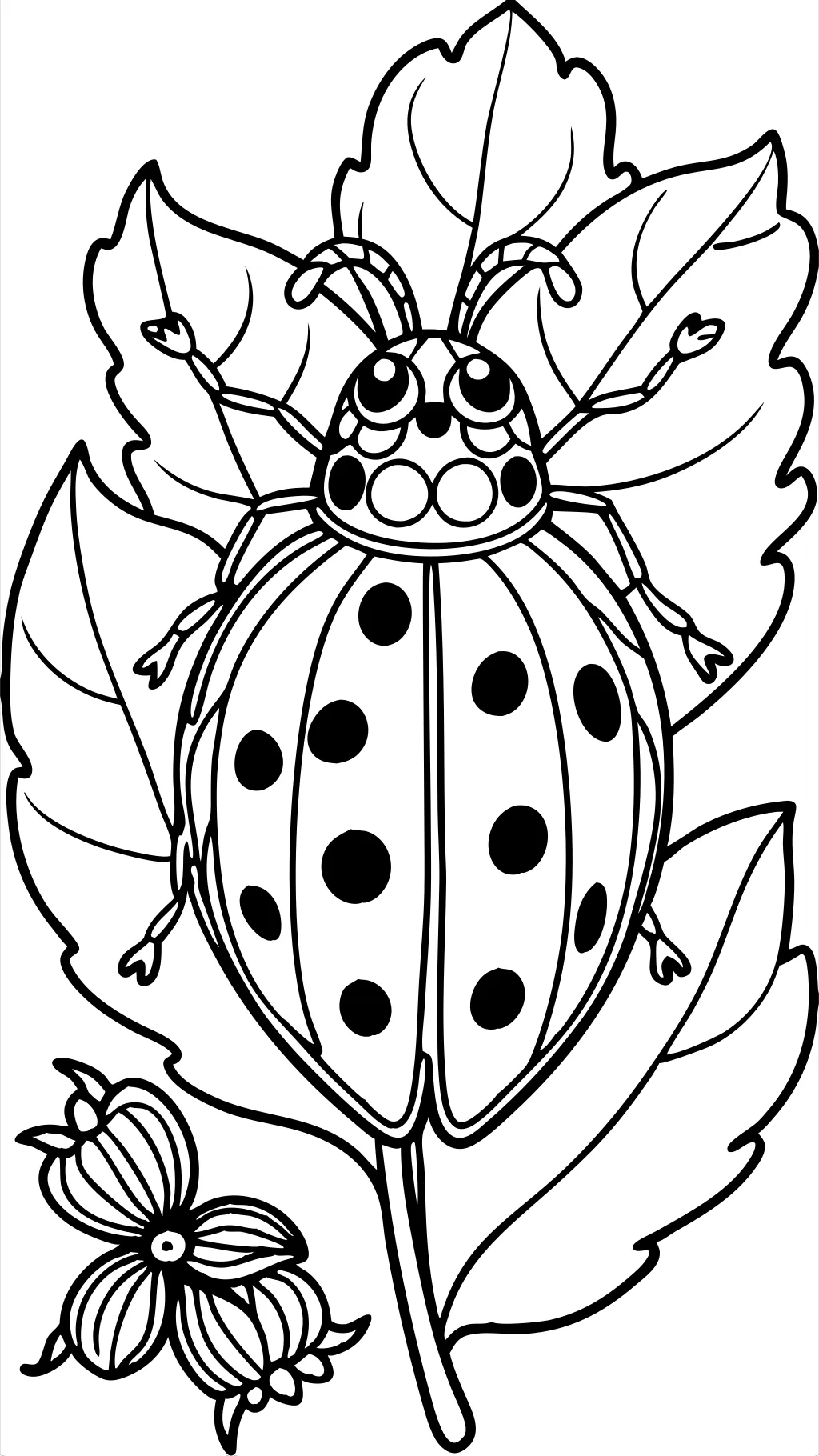 coloriages de coccinelles